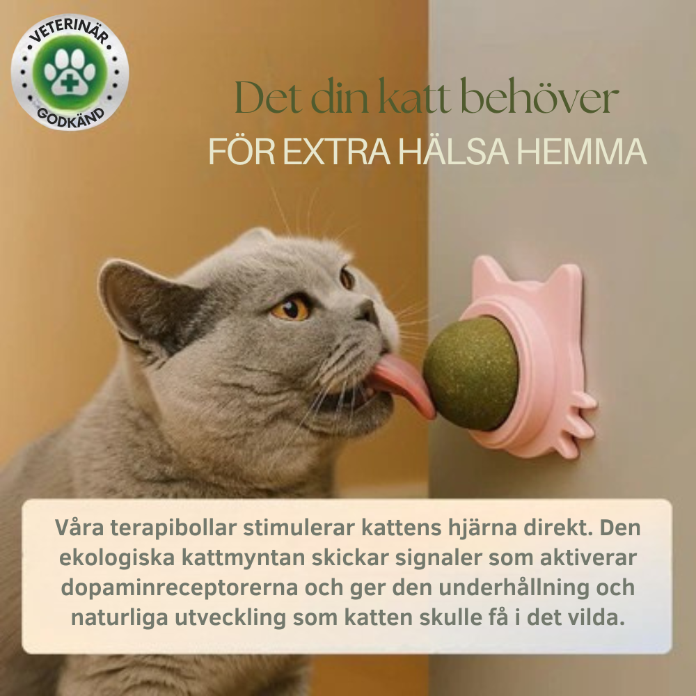 MjaoMint™ For din kats bedste velbefindende