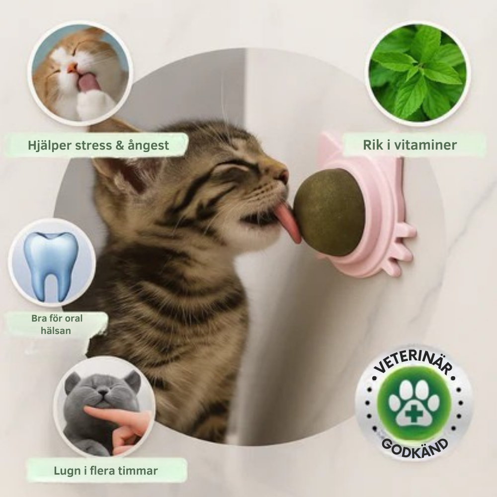 MjaoMint™ For din kats bedste velbefindende