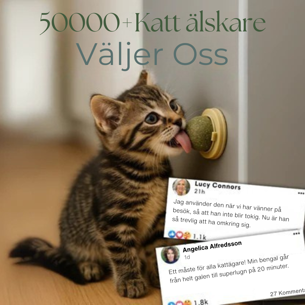 MjaoMint™ For din kats bedste velbefindende